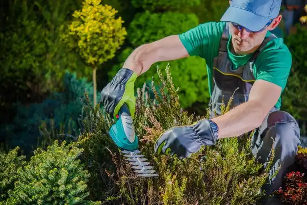 landscaping services New Madrid